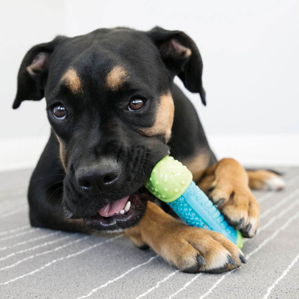 KONG CoreStrength Bone Dog Toy