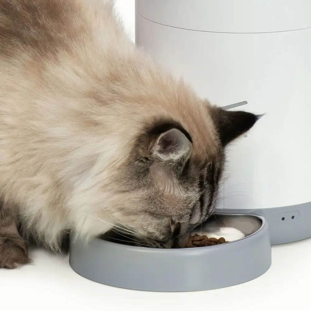 Catit Pixi Smart Cat Feeder