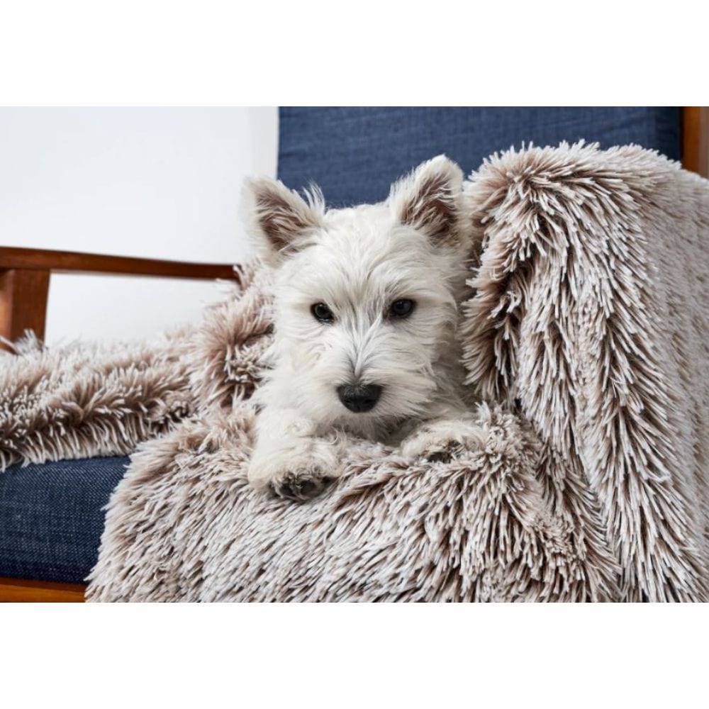 Snooza Mink Calming Dog Blanket Small